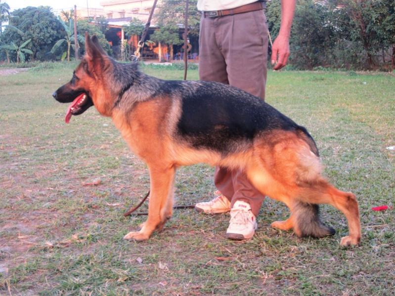 Name:  DỮ LIỆU ĐẾN THÁNG 11.2013 293.jpg
Views: 0
Size:  94.2 KB