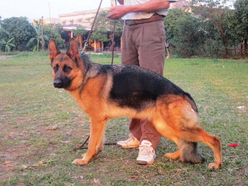 Name:  DỮ LIỆU ĐẾN THÁNG 11.2013 295.jpg
Views: 0
Size:  90.0 KB