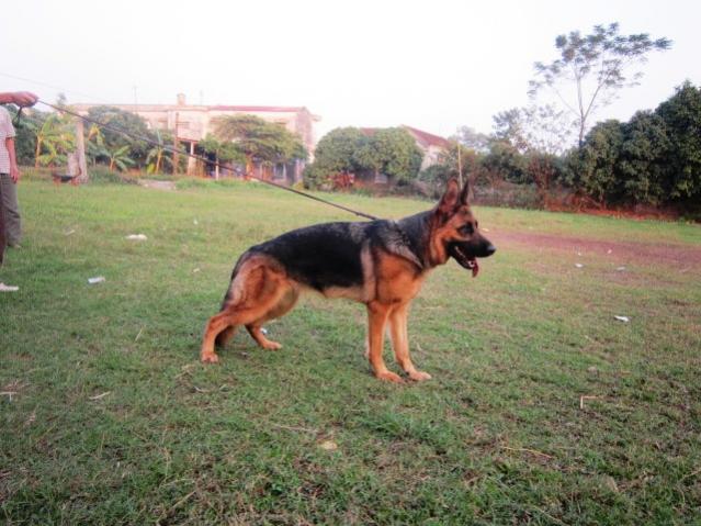 Name:  A320 1310.jpg
Views: 0
Size:  54.7 KB