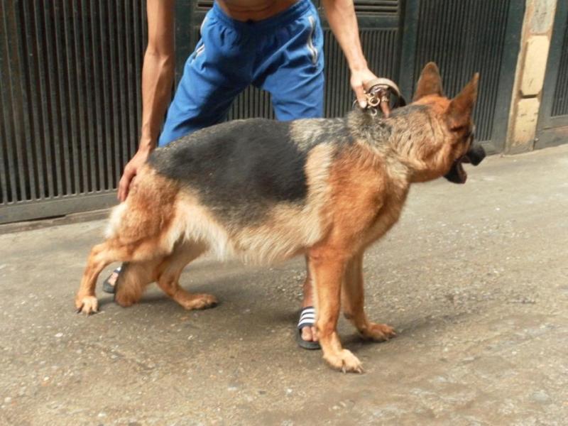 Name:  lan1a.jpg
Views: 0
Size:  68.3 KB