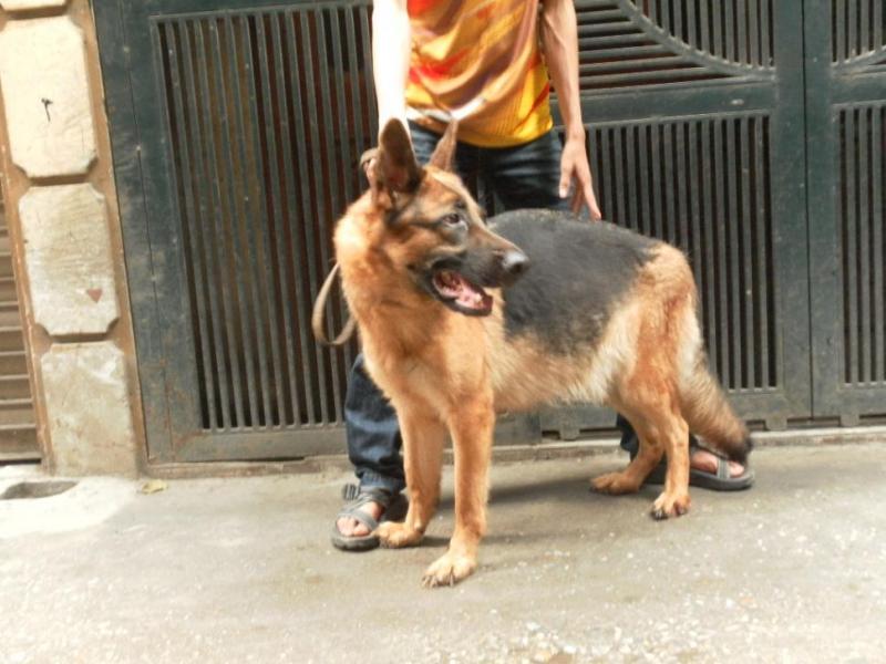 Name:  lan1b.jpg
Views: 0
Size:  63.6 KB