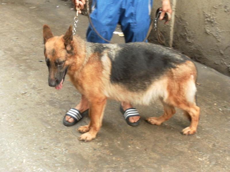 Name:  lần 1.jpg
Views: 0
Size:  60.7 KB