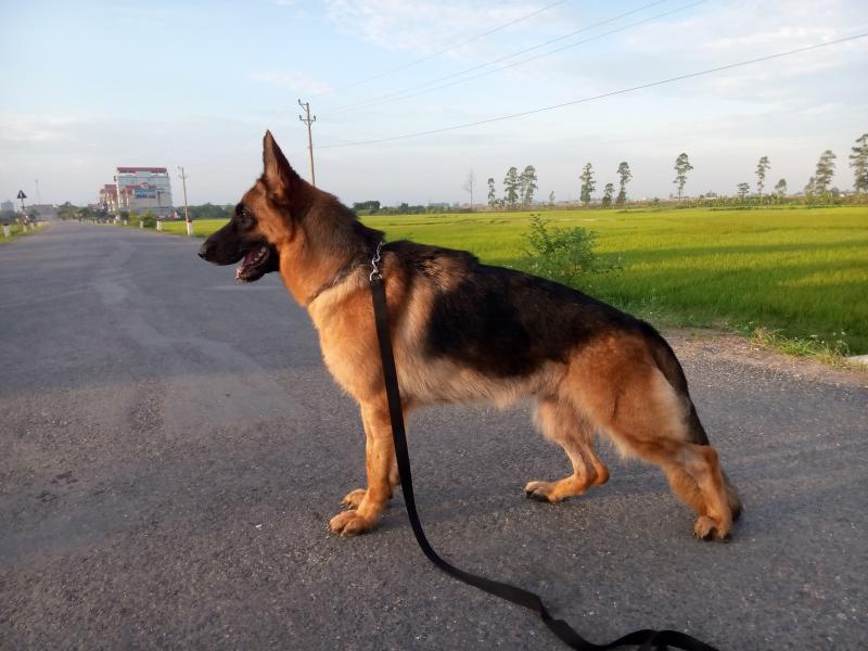 Name:  IMG20140521055801.jpg
Views: 0
Size:  61.9 KB