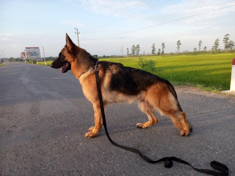 Name:  IMG20140521055806.jpg
Views: 0
Size:  63.3 KB