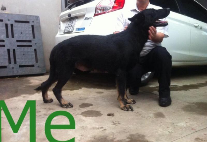 Name:  10502402_661194123970571_1175327277621381247_n.jpg
Views: 0
Size:  46.8 KB