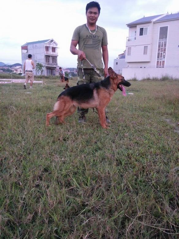 Name:  kiko.jpg
Views: 0
Size:  97.7 KB
