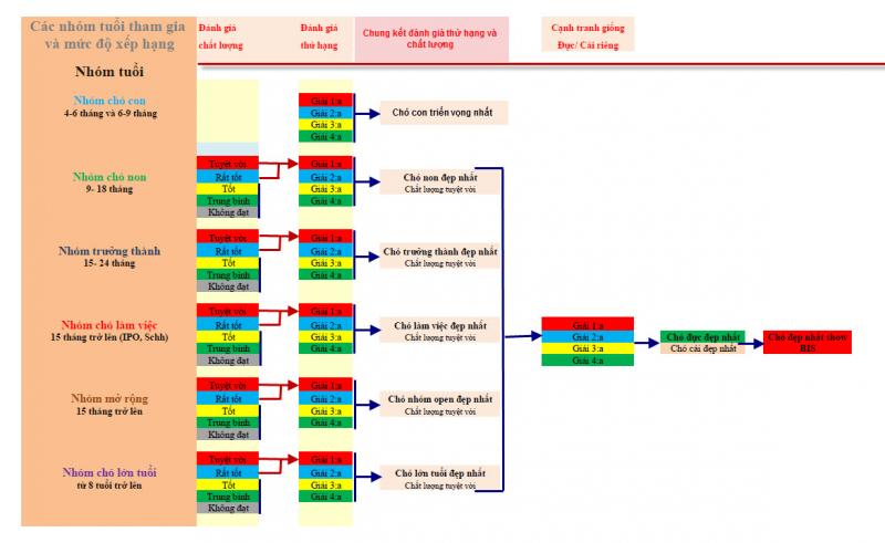 Name:  QĐịnh-Thi.jpg
Views: 0
Size:  45.2 KB