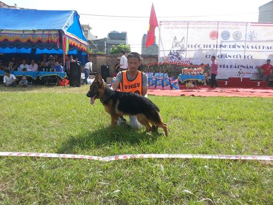 Name:  10711565_363114810511516_808346402_n.jpg
Views: 0
Size:  64.3 KB