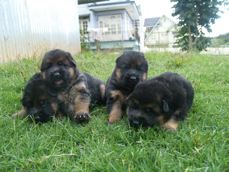 Name:  P1018776.jpg
Views: 0
Size:  88.6 KB