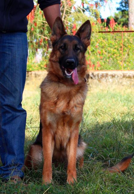 Name:  IMG_0022.jpg
Views: 0
Size:  54.0 KB