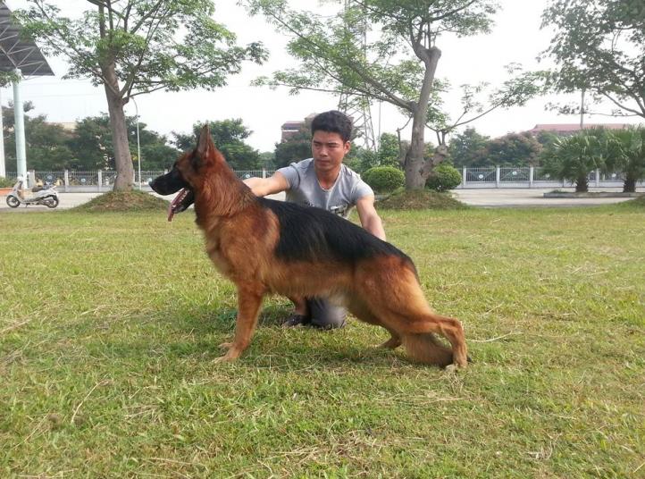 Name:  10681682_368579096631754_1806324928_n.jpg
Views: 0
Size:  99.3 KB