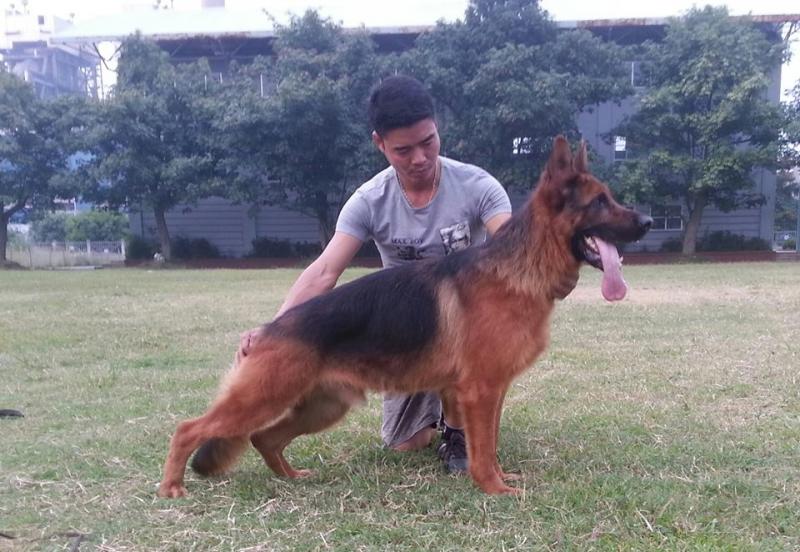 Name:  10751735_374275416062122_56205704_n.jpg
Views: 0
Size:  77.5 KB