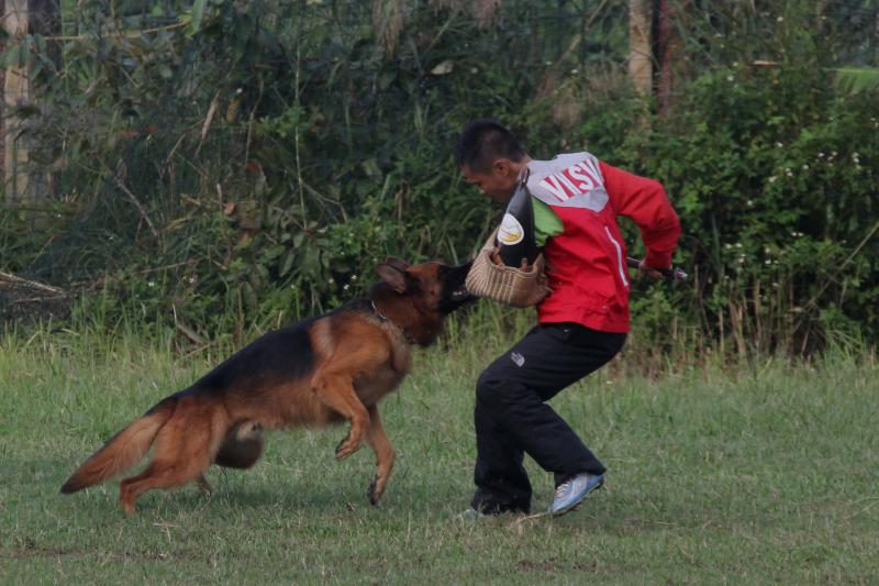 Name:  IMG_0230.jpg
Views: 0
Size:  70.9 KB