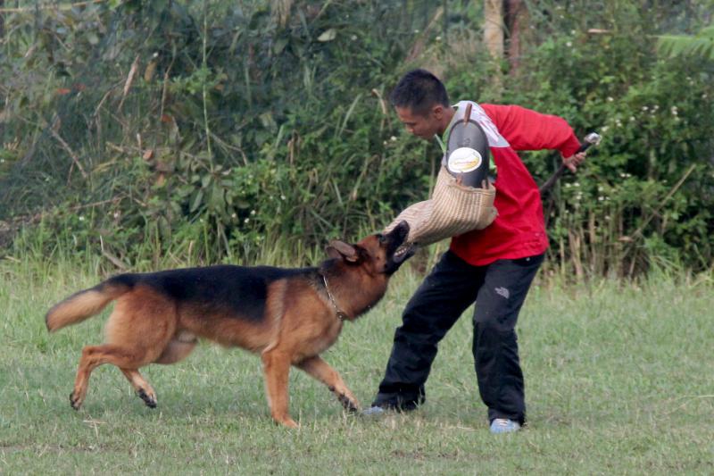 Name:  IMG_0231.jpg
Views: 0
Size:  75.1 KB