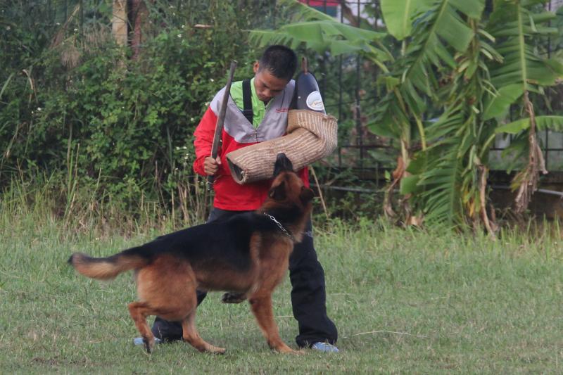 Name:  IMG_0234.jpg
Views: 0
Size:  76.2 KB