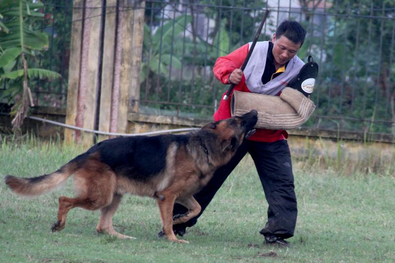 Name:  IMG_0250.jpg
Views: 0
Size:  66.5 KB