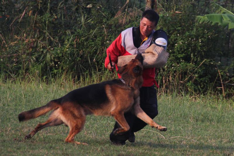 Name:  IMG_0288.jpg
Views: 0
Size:  80.9 KB