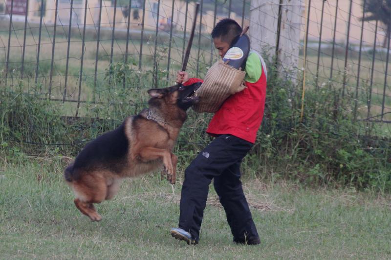 Name:  IMG_0262.jpg
Views: 0
Size:  72.1 KB