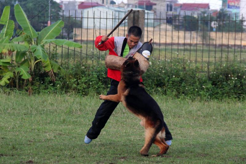 Name:  IMG_0267.jpg
Views: 0
Size:  77.9 KB