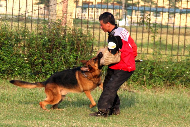 Name:  IMG_0272.jpg
Views: 0
Size:  96.2 KB