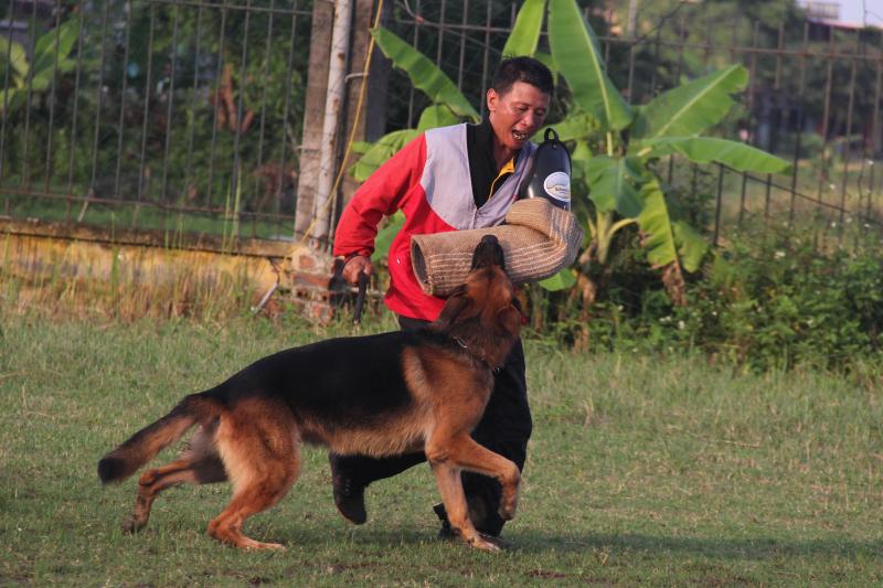 Name:  IMG_0283.jpg
Views: 0
Size:  73.3 KB