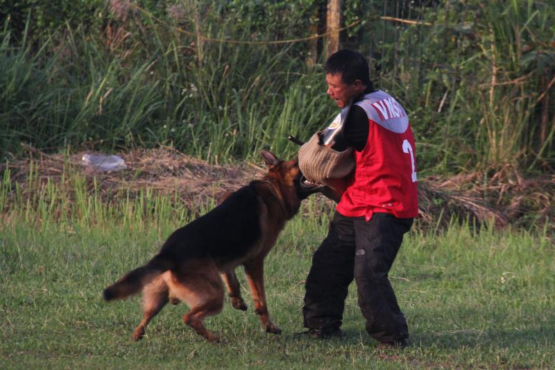 Name:  IMG_0286.jpg
Views: 0
Size:  78.0 KB