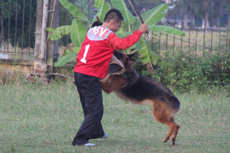 Name:  IMG_0311.jpg
Views: 0
Size:  66.9 KB