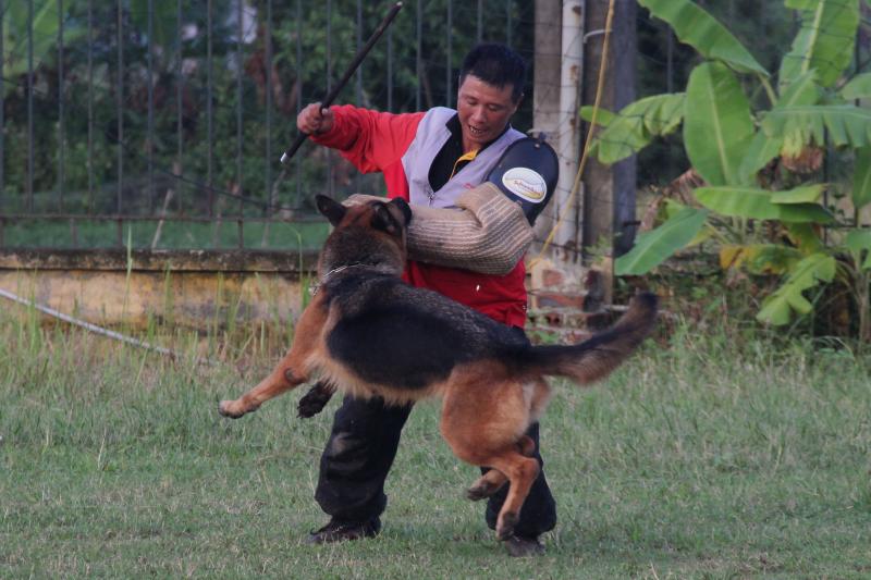 Name:  IMG_0316.jpg
Views: 0
Size:  67.9 KB