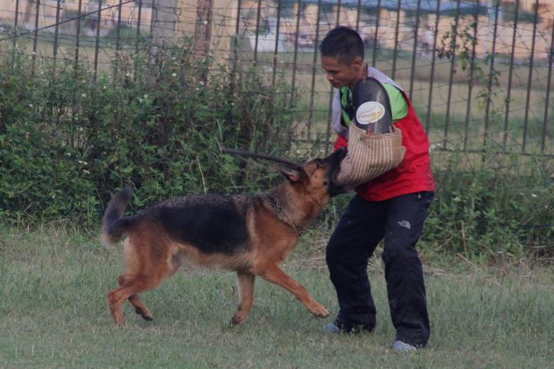 Name:  1526858_884382171580571_3568723967030667056_n.jpg
Views: 0
Size:  72.8 KB