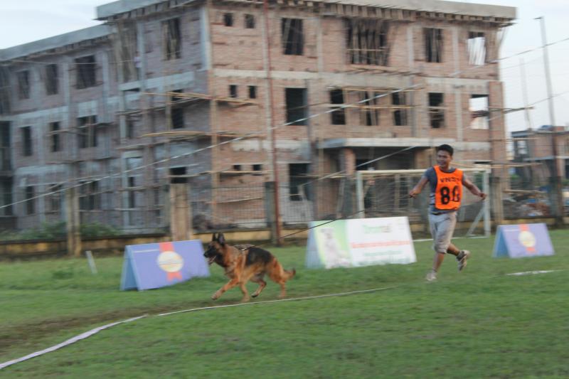 Name:  IMG_0472.jpg
Views: 0
Size:  56.2 KB