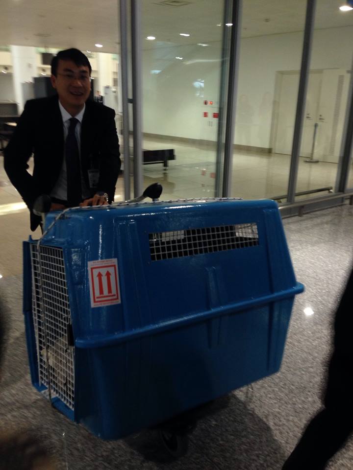 Name:  2.jpg
Views: 0
Size:  63.2 KB