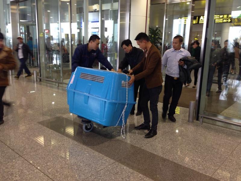 Name:  3.jpg
Views: 0
Size:  75.6 KB