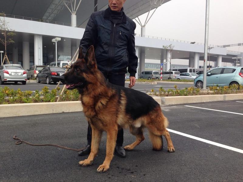 Name:  5.jpg
Views: 0
Size:  69.8 KB