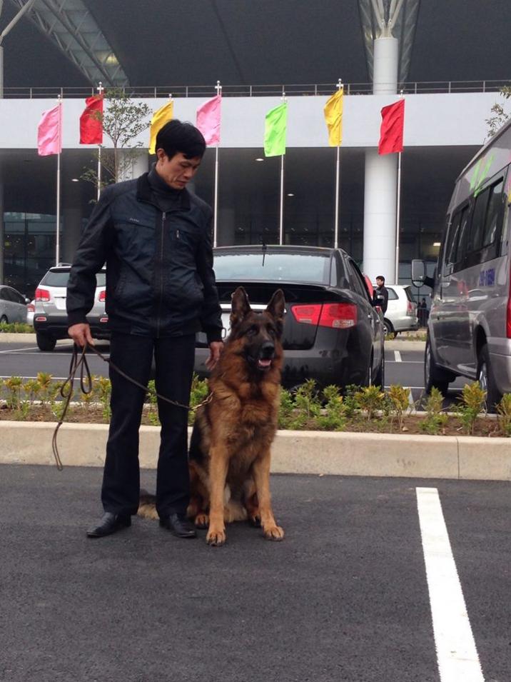 Name:  6.jpg
Views: 0
Size:  92.5 KB