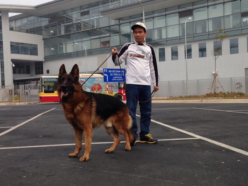 Name:  7.jpg
Views: 0
Size:  65.8 KB