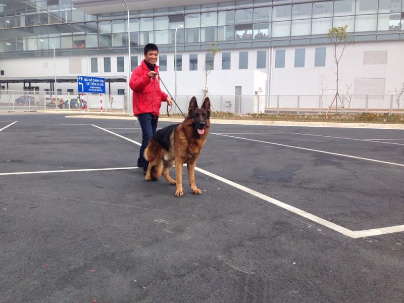 Name:  9.jpg
Views: 0
Size:  70.3 KB