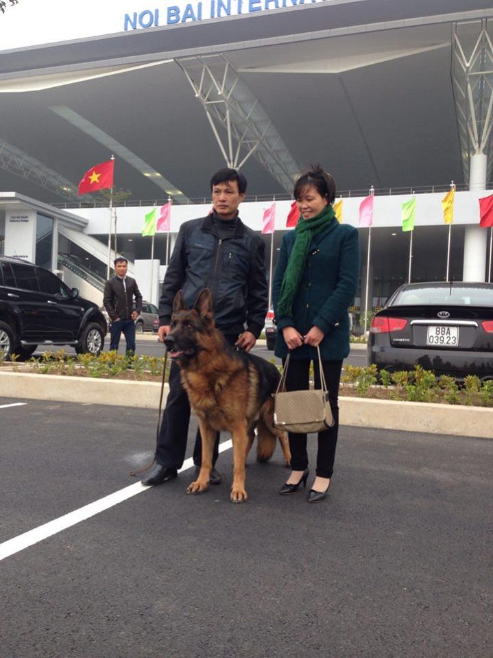 Name:  10.jpg
Views: 0
Size:  92.9 KB