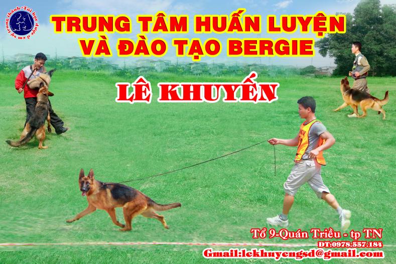 Name:  logo.jpg
Views: 0
Size:  97.4 KB