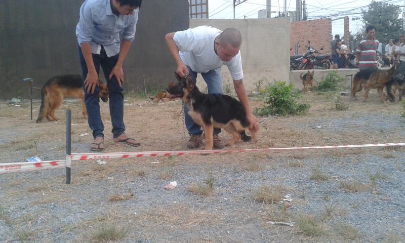 Name:  20150315_175237.jpg
Views: 0
Size:  70.5 KB