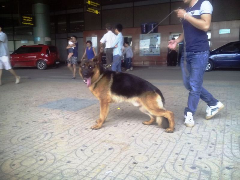 Name:  DU LIEU IPAD 883.jpg
Views: 0
Size:  74.4 KB