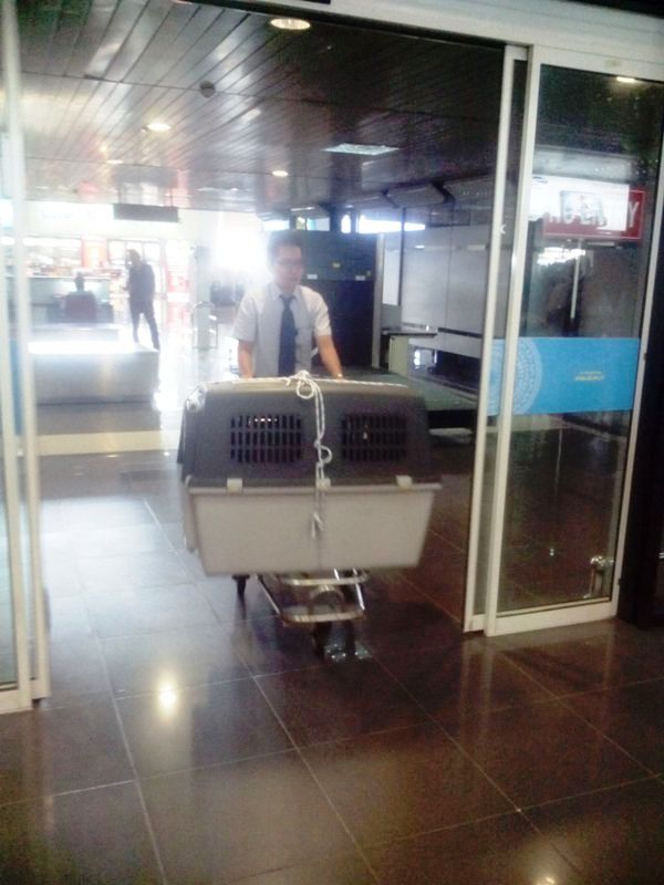 Name:  DU LIEU IPAD 854.jpg
Views: 0
Size:  71.7 KB