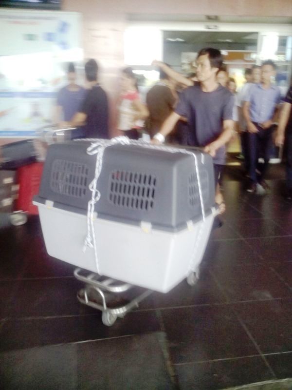 Name:  DU LIEU IPAD 857.jpg
Views: 0
Size:  60.3 KB