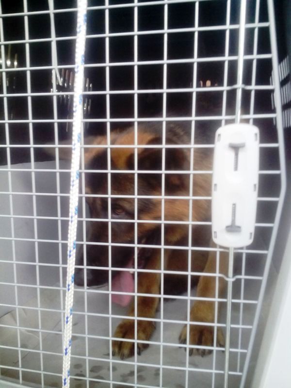 Name:  DU LIEU IPAD 860.jpg
Views: 0
Size:  78.6 KB