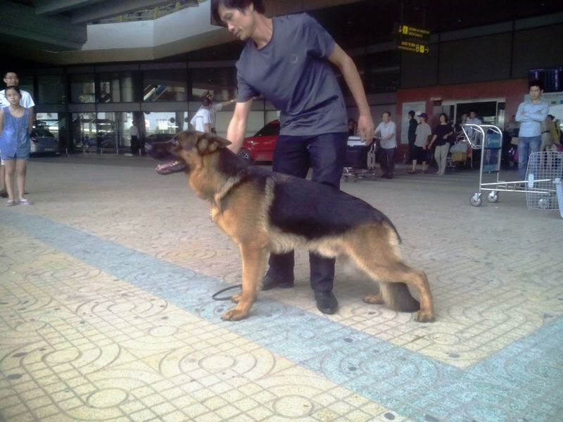 Name:  DU LIEU IPAD 869.jpg
Views: 0
Size:  80.3 KB