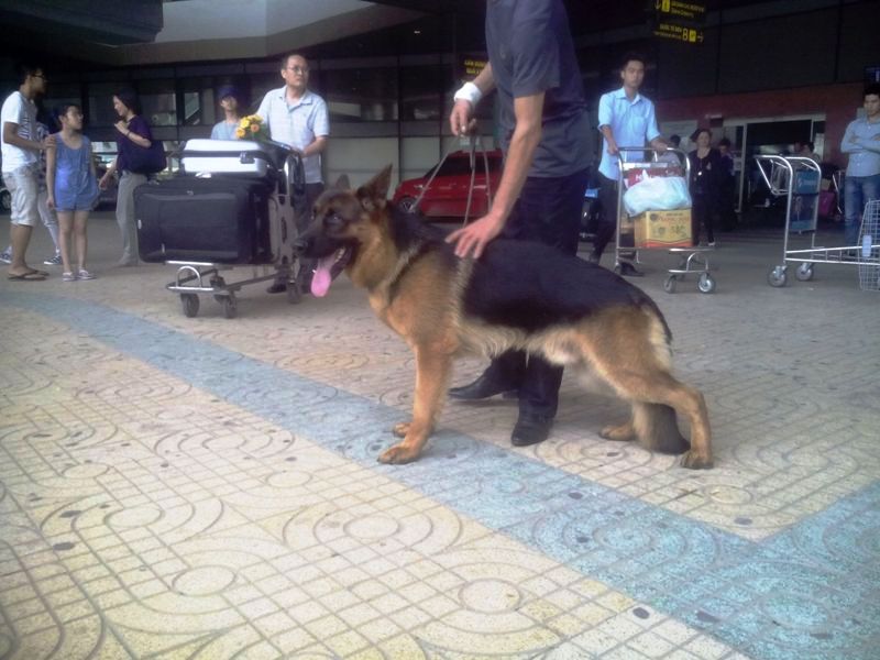 Name:  DU LIEU IPAD 874.jpg
Views: 0
Size:  83.8 KB