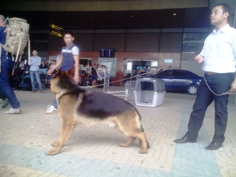 Name:  DU LIEU IPAD 878.jpg
Views: 0
Size:  72.7 KB