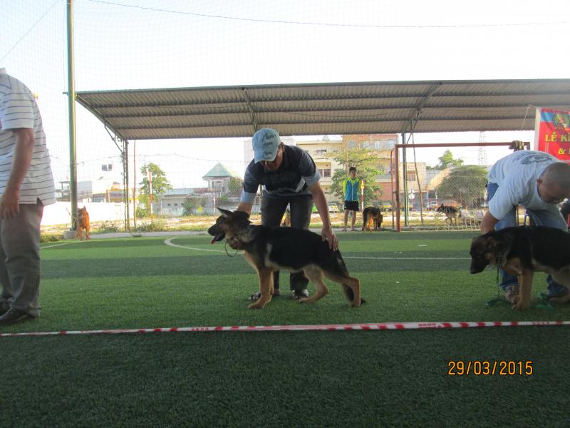 Name:  IMG_3311.jpg
Views: 0
Size:  69.7 KB
