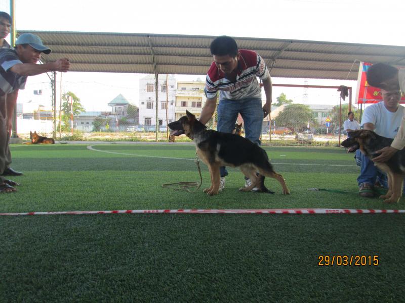Name:  IMG_3317.jpg
Views: 0
Size:  74.4 KB