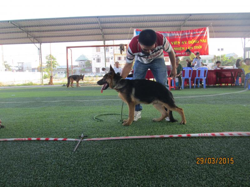 Name:  IMG_3321.jpg
Views: 0
Size:  85.5 KB
