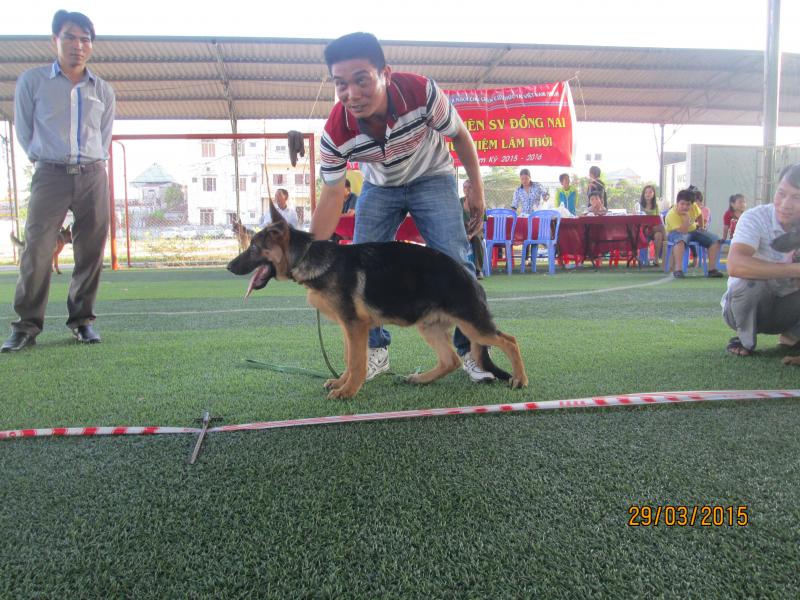 Name:  IMG_3323.jpg
Views: 0
Size:  95.4 KB